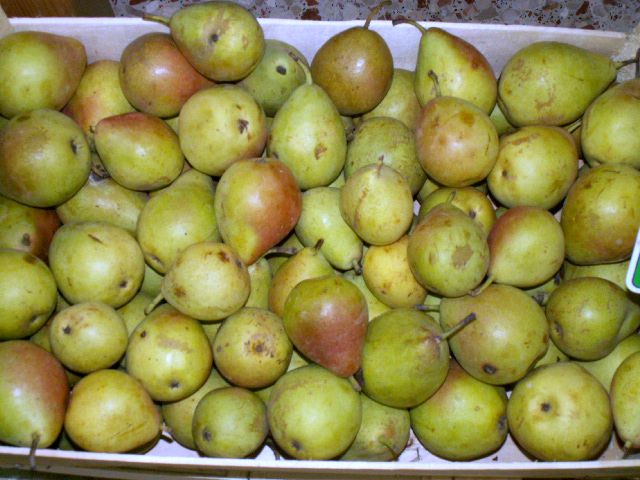 Las frutas y verduras frescas deben formar parte de nuestras dietas alimenticias de forma regular.